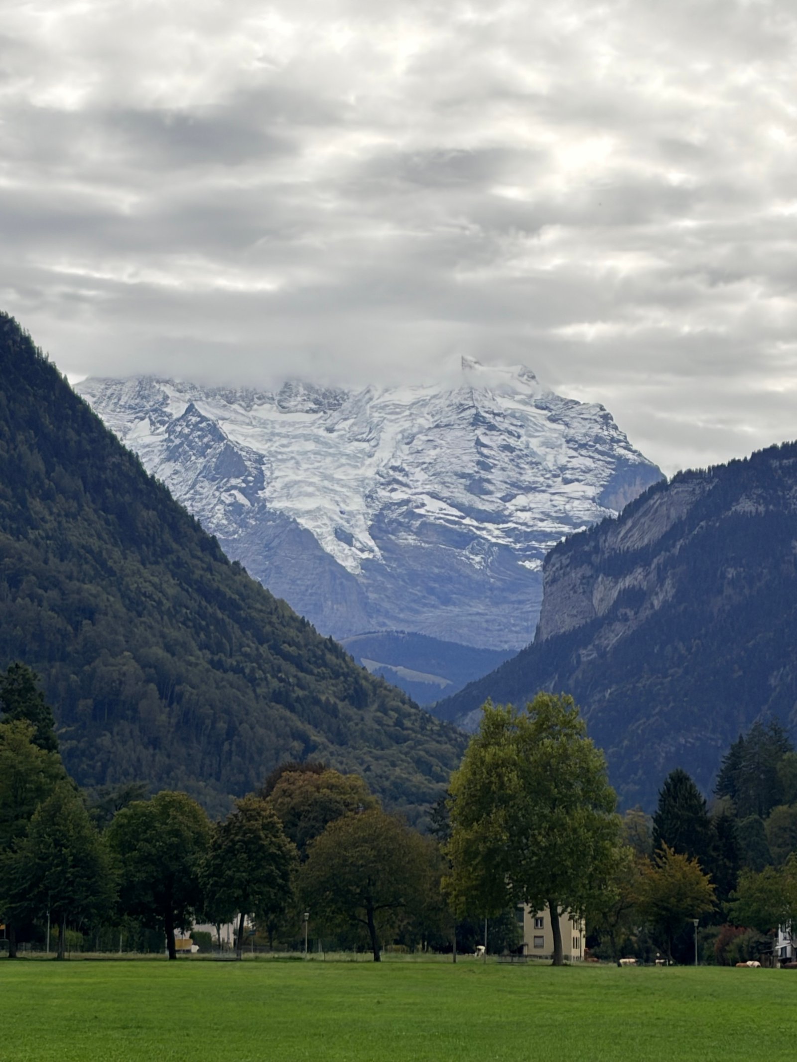 Post image 6
