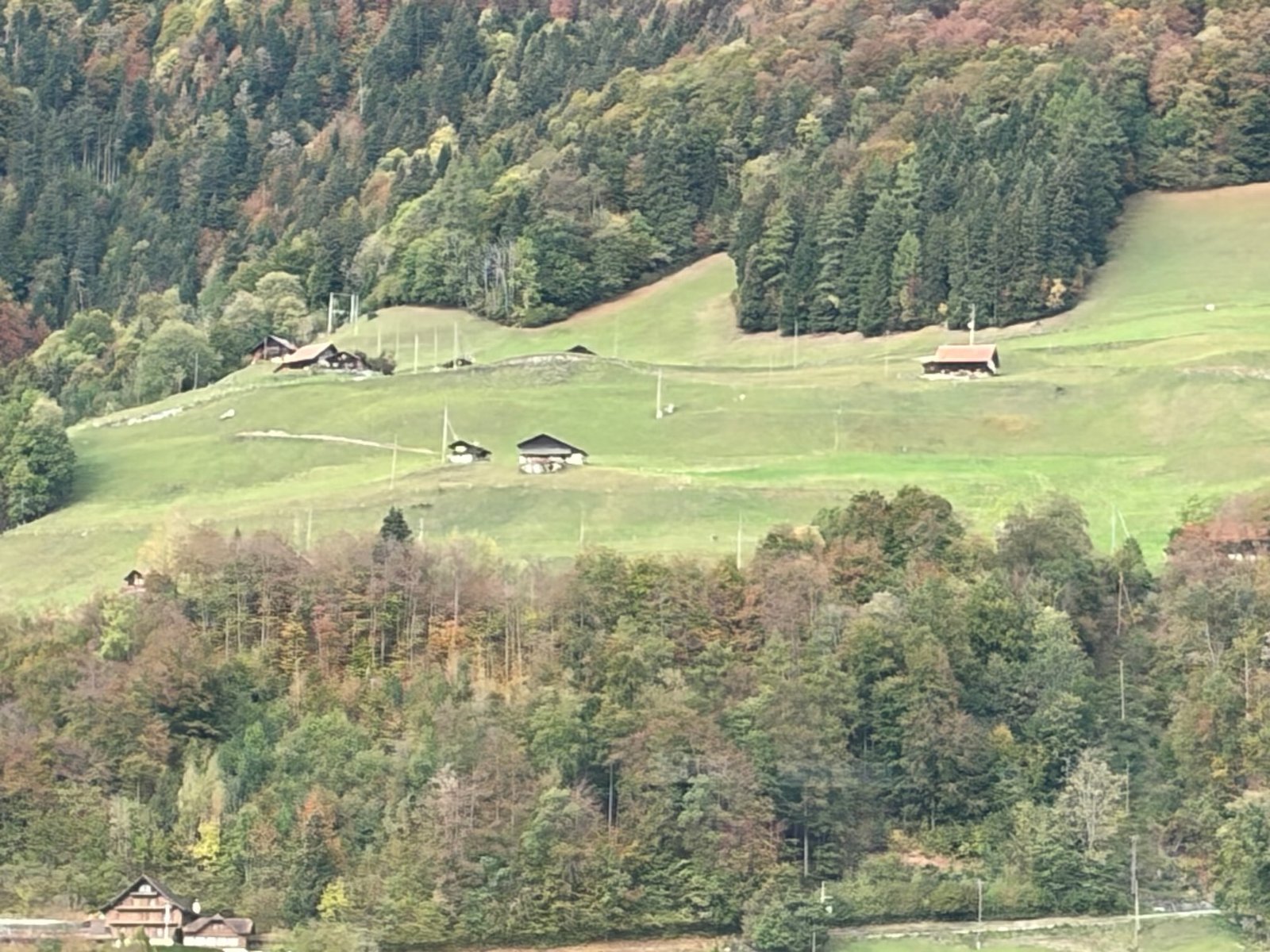 Post image 11