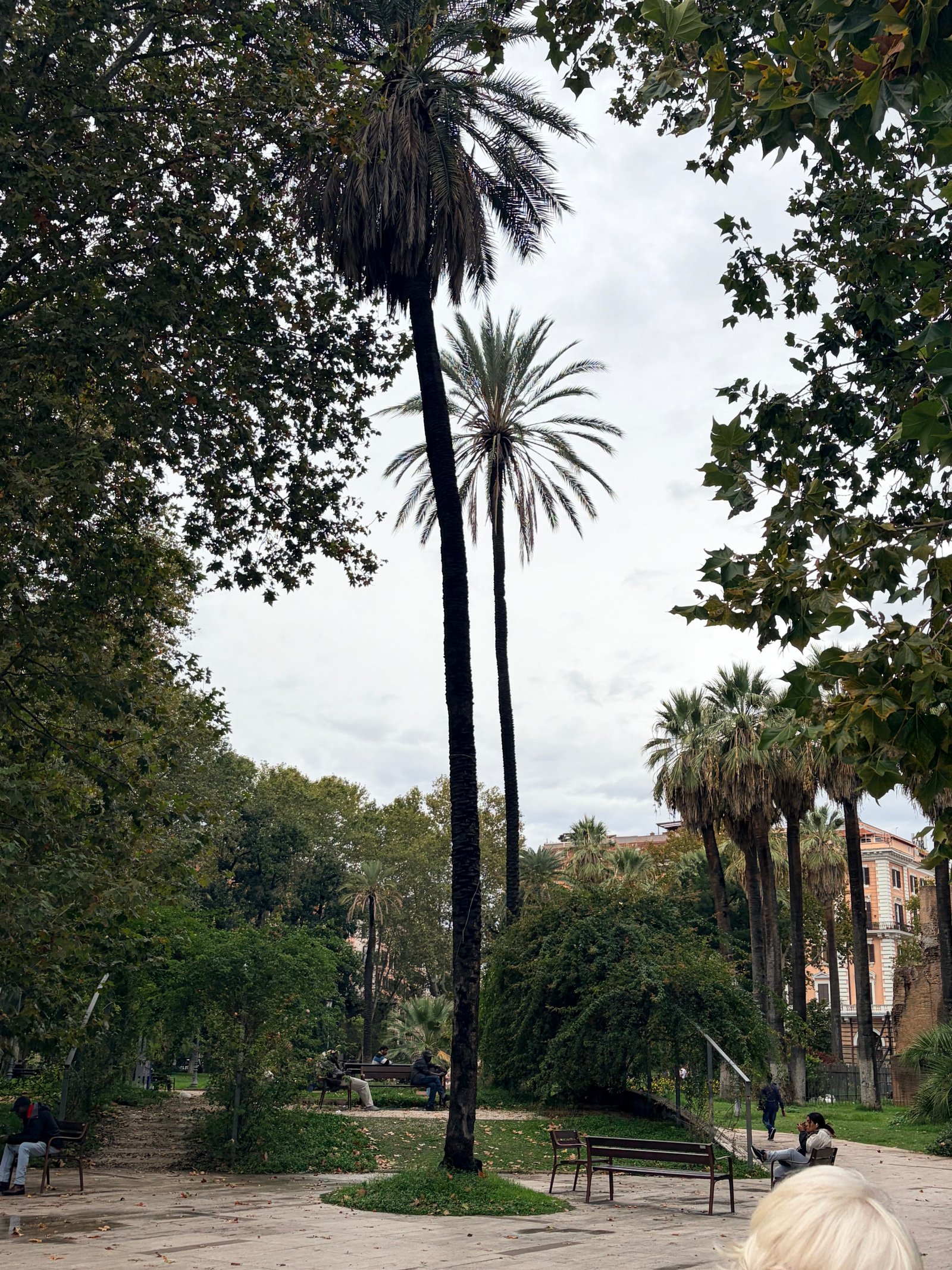 Post image 4