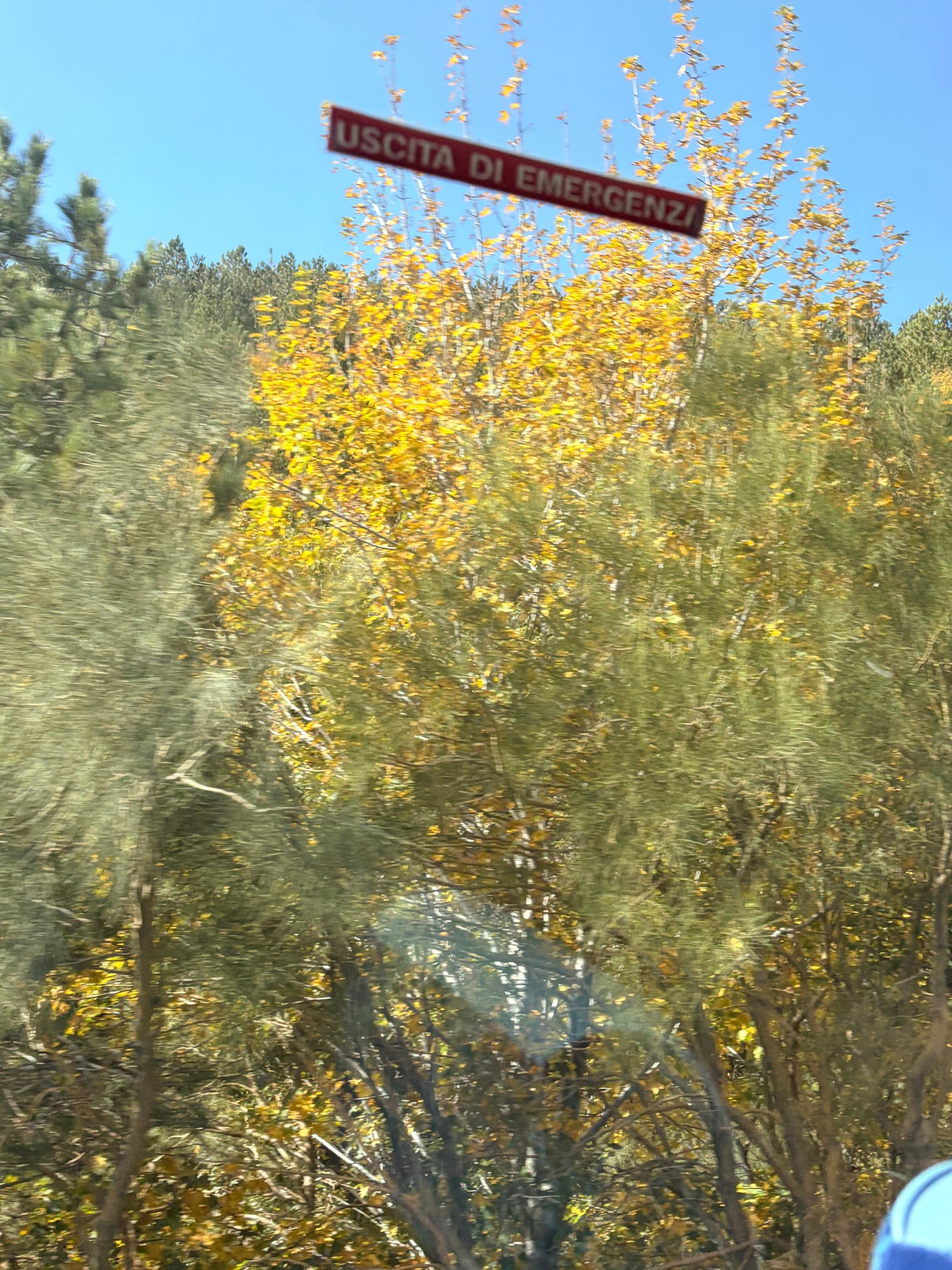Post image 5
